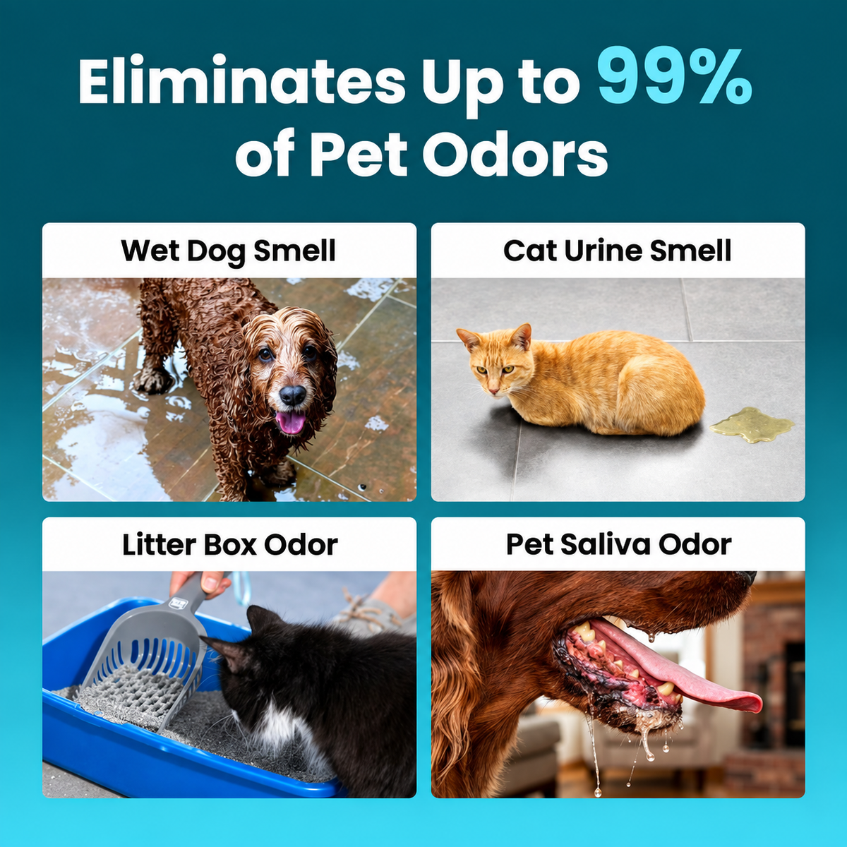 Rechargeable Pet Odor Air Deodorizer – Portable Filter-Free Odor Control