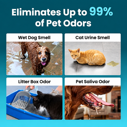 Rechargeable Pet Odor Air Deodorizer – Portable Filter-Free Odor Control